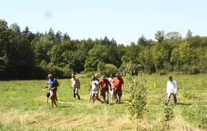 ... mais où sont passées nos flèches ?