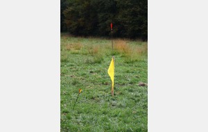 ... mais si !!!!! 
Bon sang de bois, mille millions de sabords, saperlipopette... mais c'est la flèche de Nico qu'on voit plantée là sur le mât !!