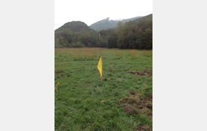 .... on dirait bien que.....