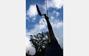 .... hop, elle sort de l'arc ! 
(bravo pour la photo jan-Mi !)