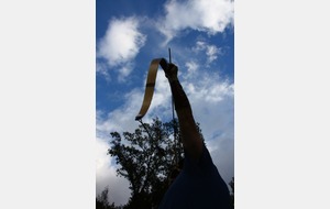 regardez bien la flèche.....