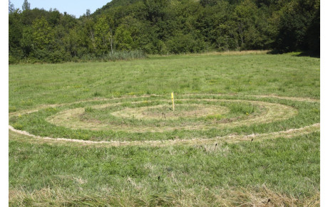 Tir au drapeau du 15 août 2013